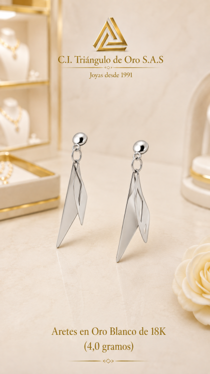Aretes en Oro Blanco de 18K