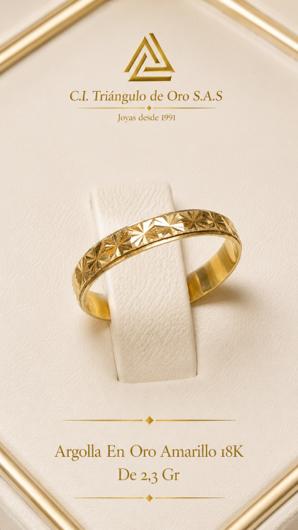 Argolla En Oro Amarillo 18K