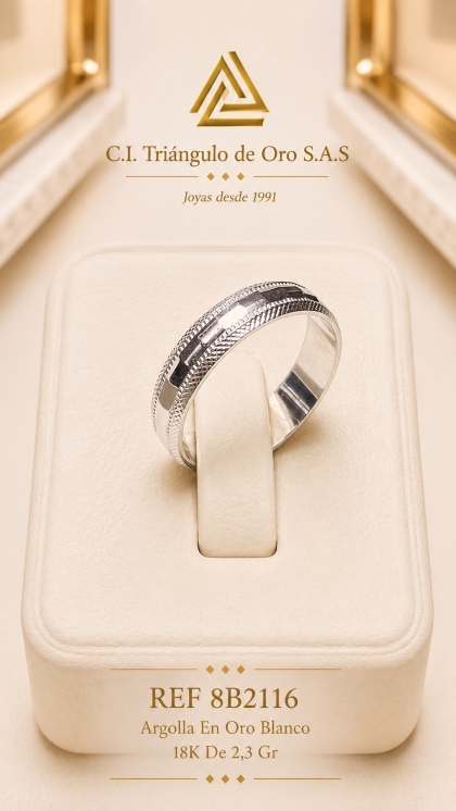 Argolla En Oro Blanco 18K