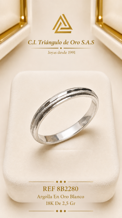 Argolla En Oro Blanco 18K