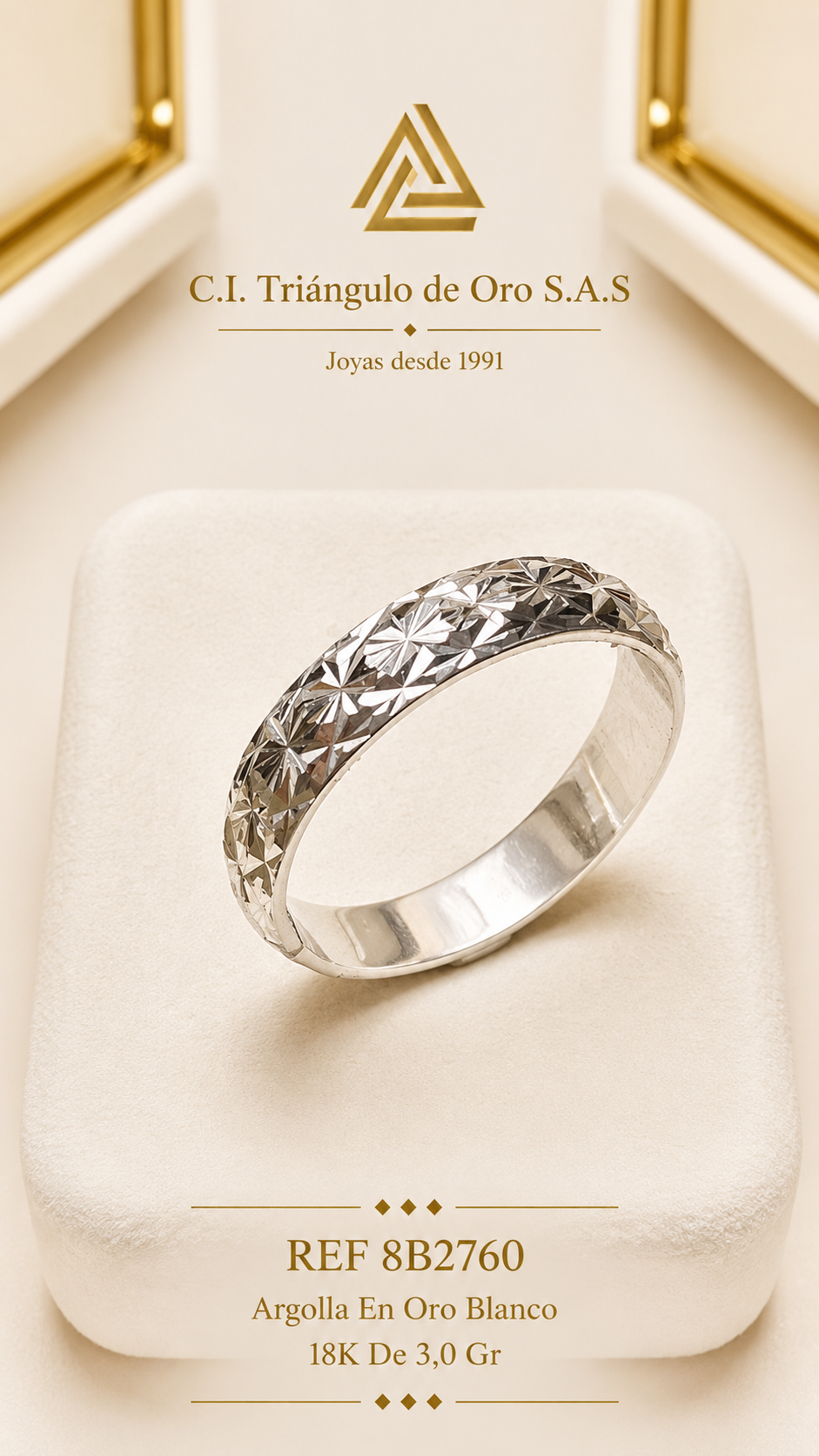 Argolla En Oro Blanco 18K