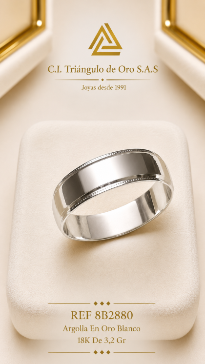 Argolla En Oro Blanco 18K