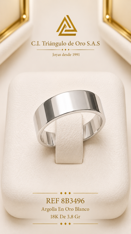 Argolla En Oro Blanco 18K