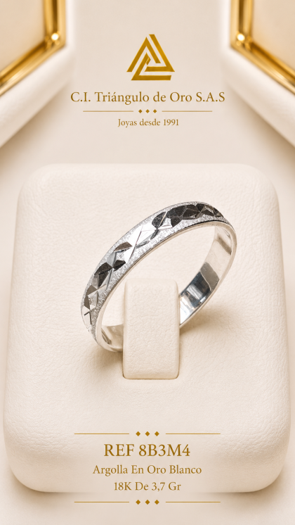 Argolla En Oro Blanco 18K
