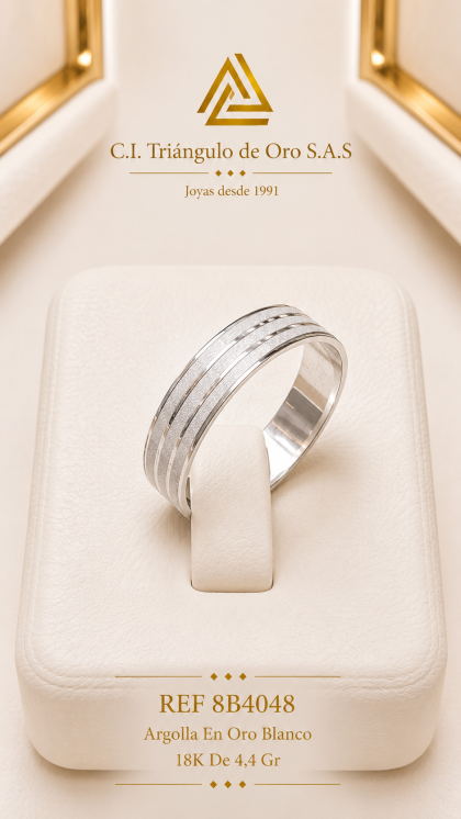 Argolla En Oro Blanco 18K