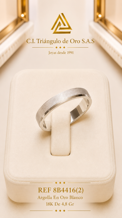 Argolla En Oro Blanco 18K