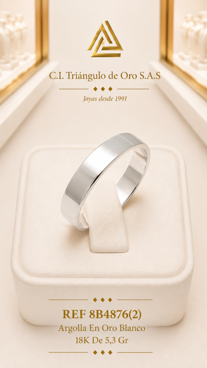 Argolla En Oro Blanco 18K